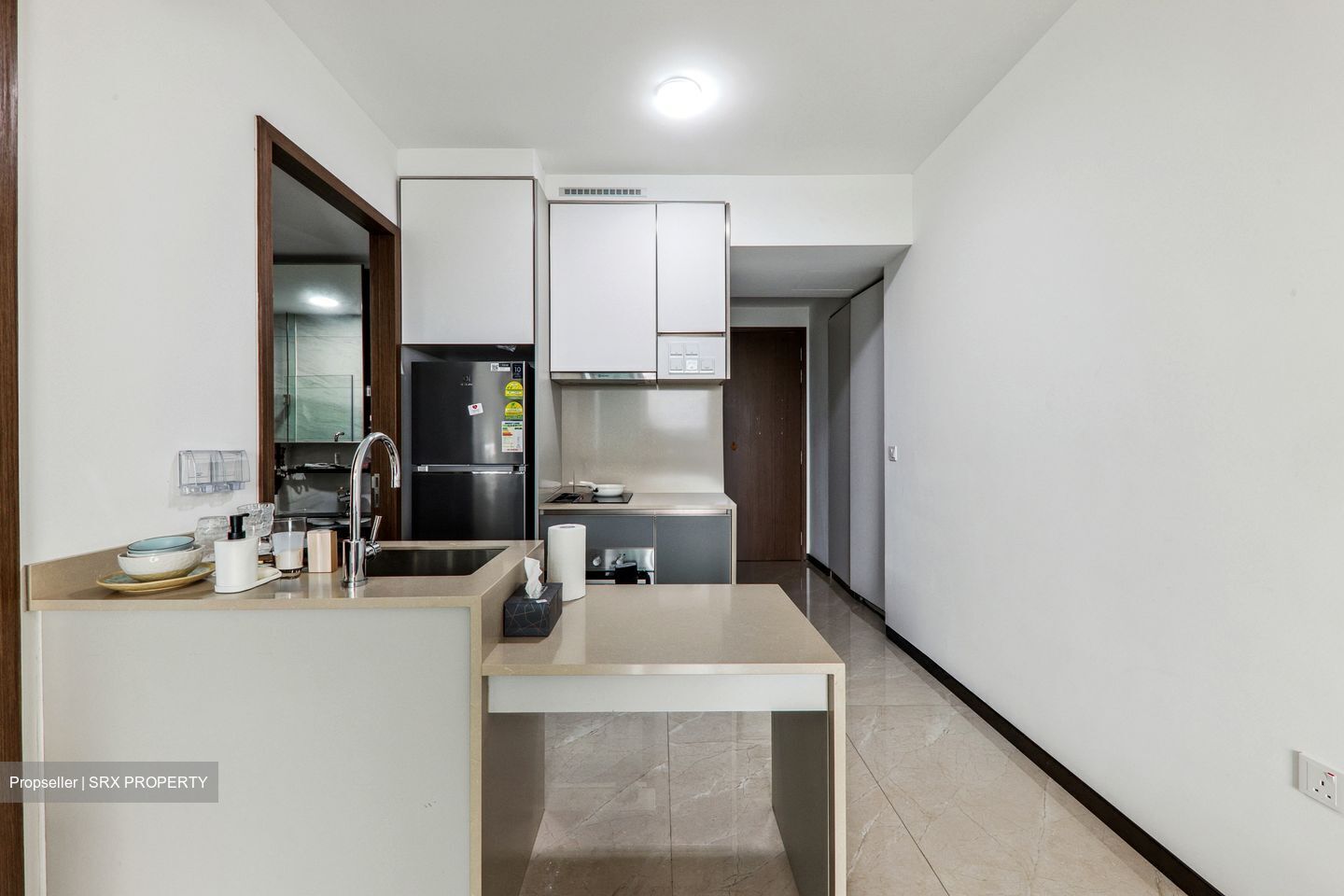 Normanton Park (D5), Apartment #447408541